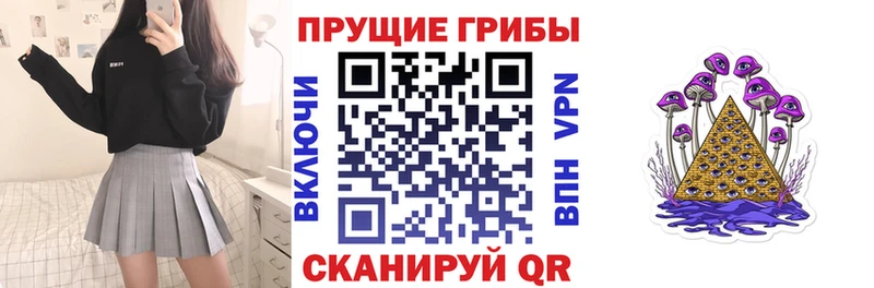 наркота  Железногорск  Галлюциногенные грибы Psilocybine cubensis 