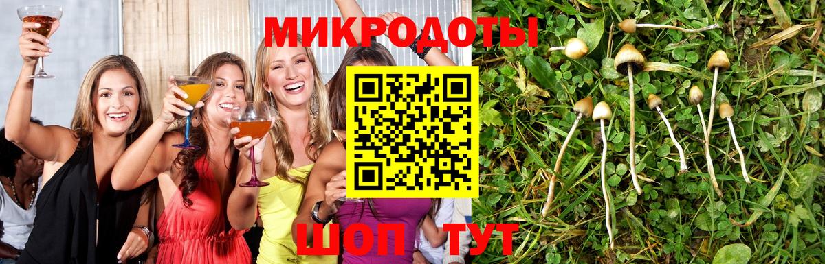 Псилоцибиновые грибы мицелий  Галлюциногенные грибы прущие грибы  Вход с VPN  Железногорск 